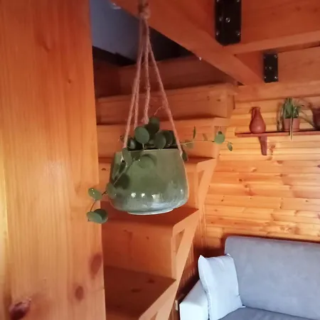 Homestay Casa Lia Cascine